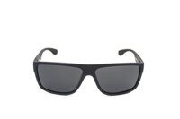 POLARIZED пл. PZ 02864 С1